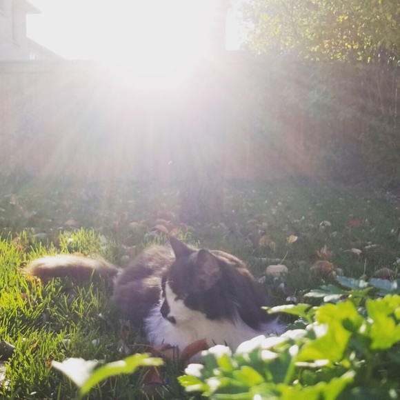 Meet your Posher, Luisa - Picture 4 of 13